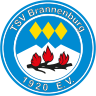 (c) Brannenburg-handball.de